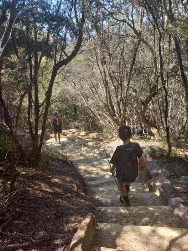 1000 steps to Wineglass Bay Freycinet NP