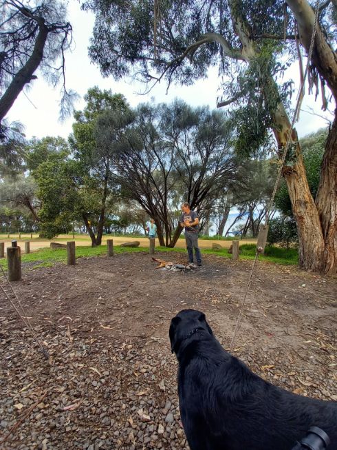 Jett at Mayfield Beach