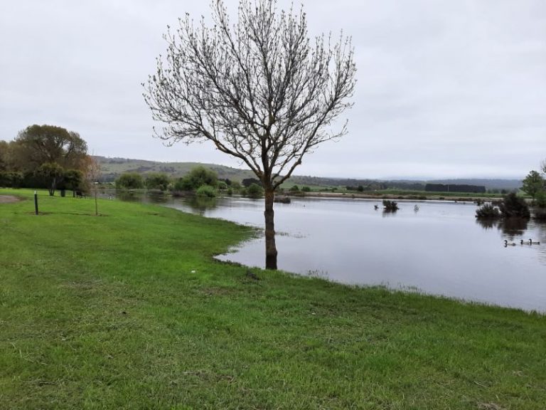 The flooded river in Ross