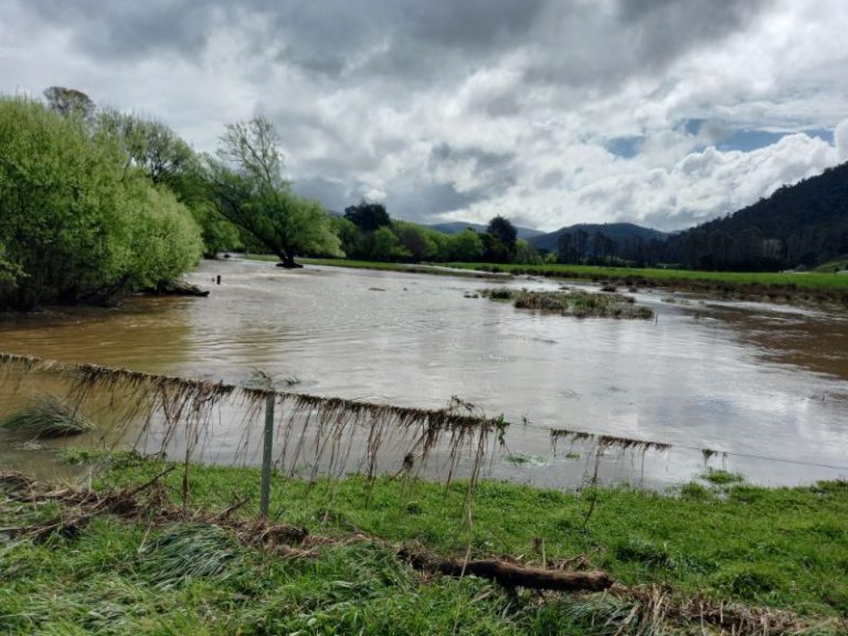 After the floods