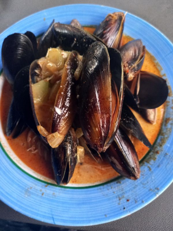 Mussels