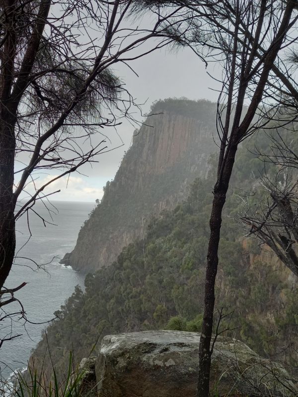 Fluted Cape Track, Bruny Island