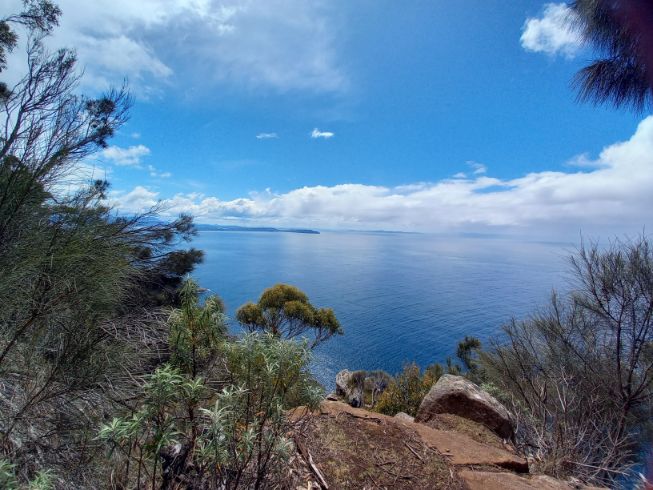 Fluted Cape Track, Bruny Island