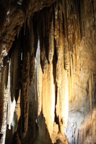 Hastings Caves