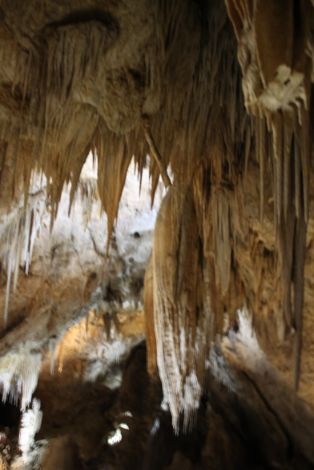 Hastings Caves