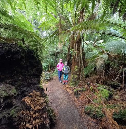 Bruny Island