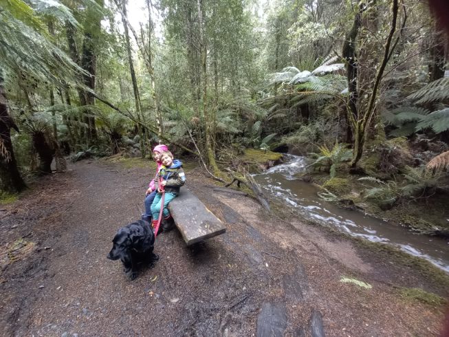 Mavista Walk Bruny Island