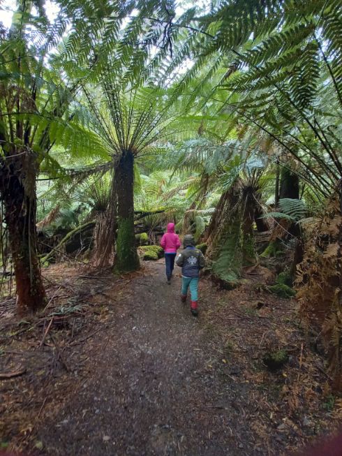 Mavista Walk Bruny Island