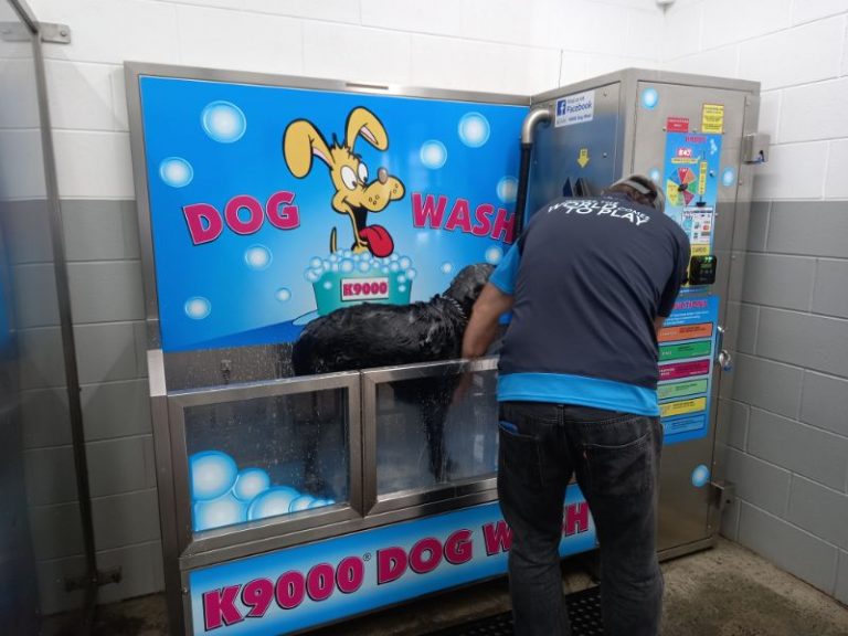 Much-need dog bath