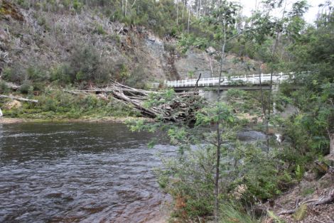 Arthur River