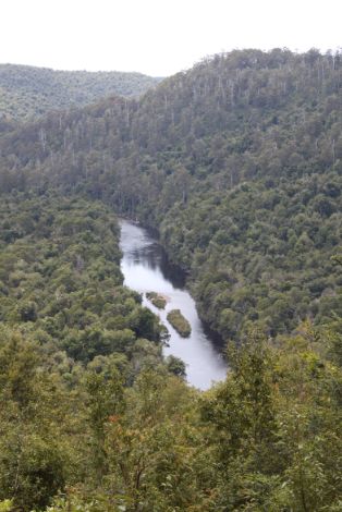 Arthur River