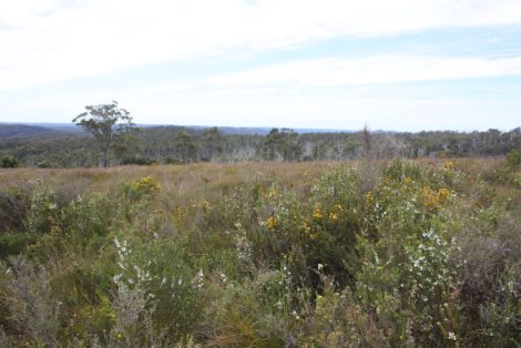 Dempster Plains lookout