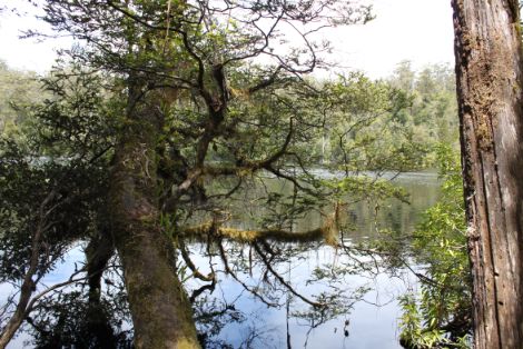 Lake Chisholm formed by sinkhole