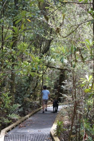 Tarkine and The Nut