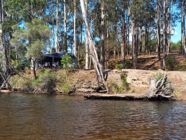 Our campsite Wallagaraugh River