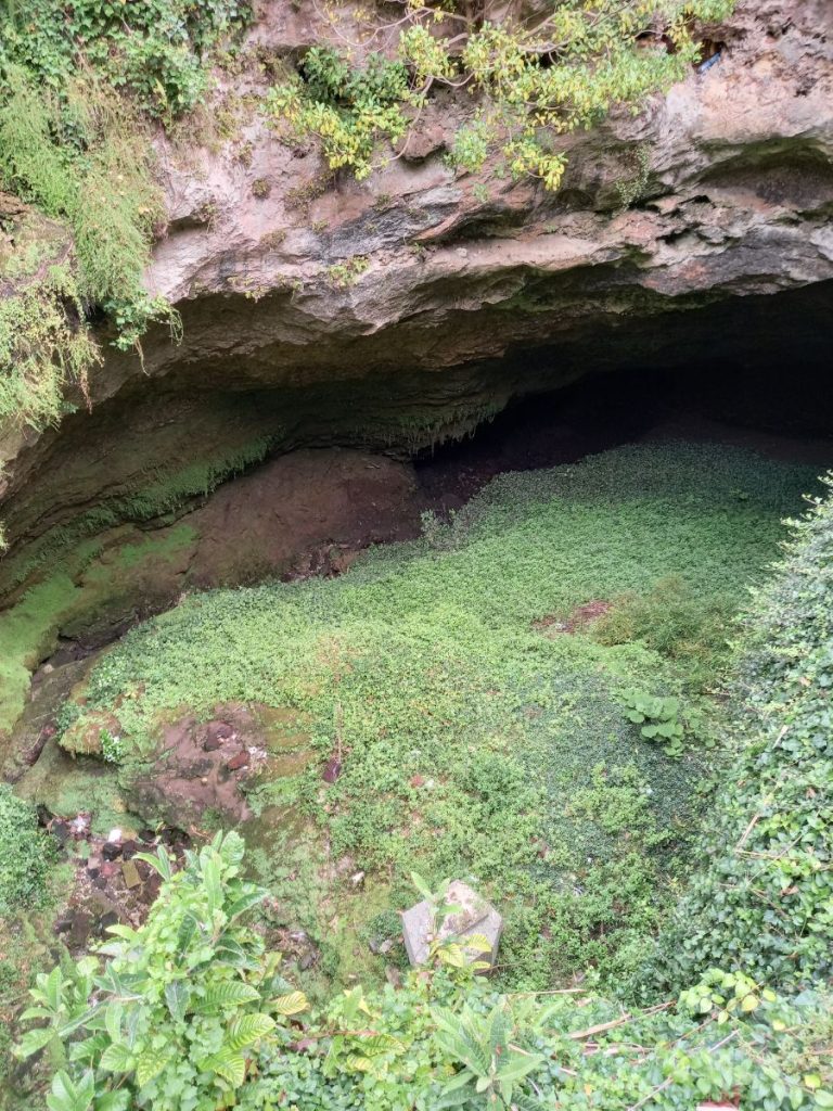 City Gardens sinkhole Mt Gambier