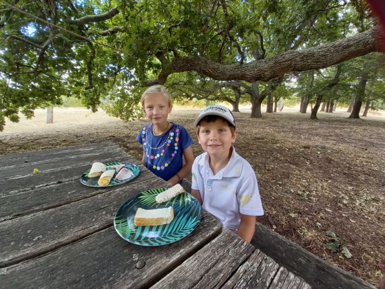 Another picnic lunch