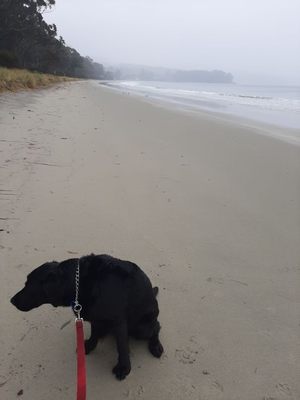 Bruny Island Adventure Bay