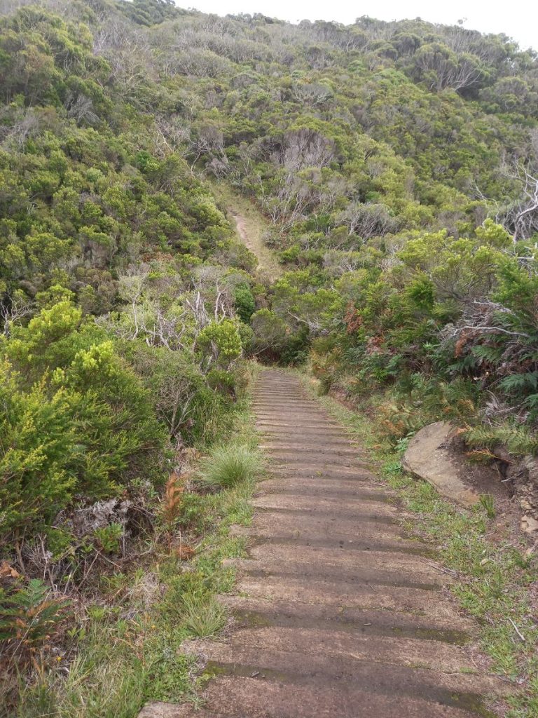 Great Ocean Walk