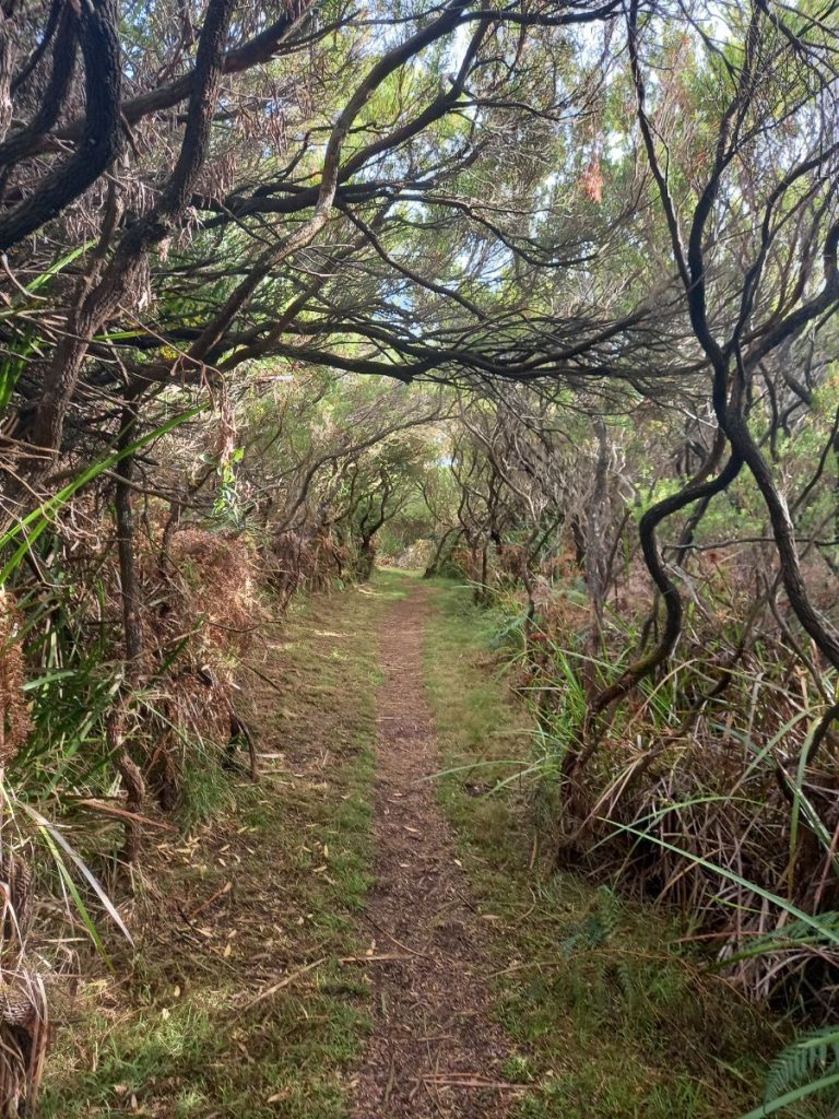 Great Ocean Walk