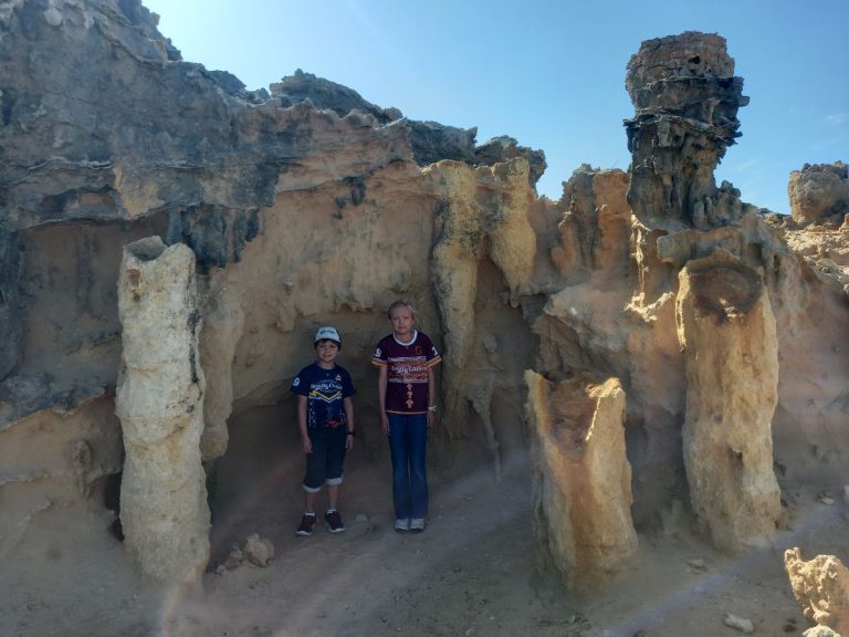 Petrified Forest near Bridgewater