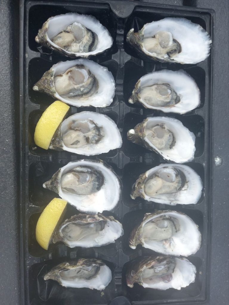 Coffin Bay oysters