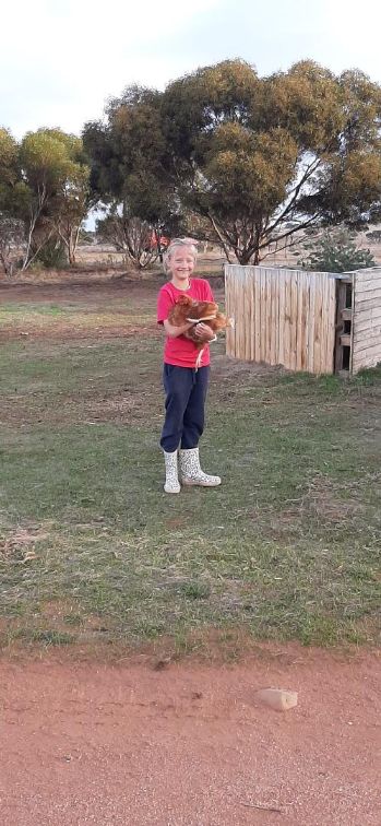 Helping at Harry's farmstay