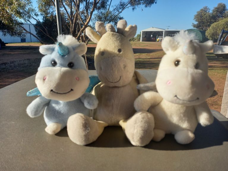 Matey had twins! Meet Mini Mate and Unicorse