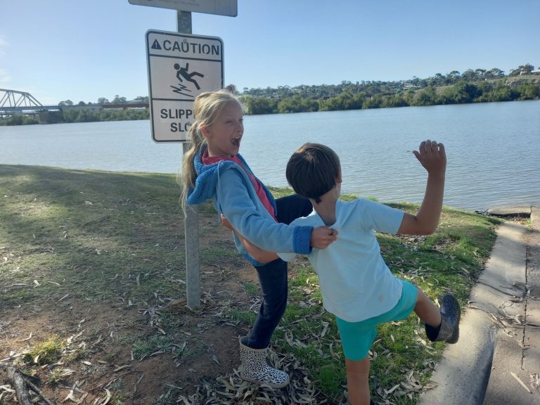 The Murray River at Murray Bridge