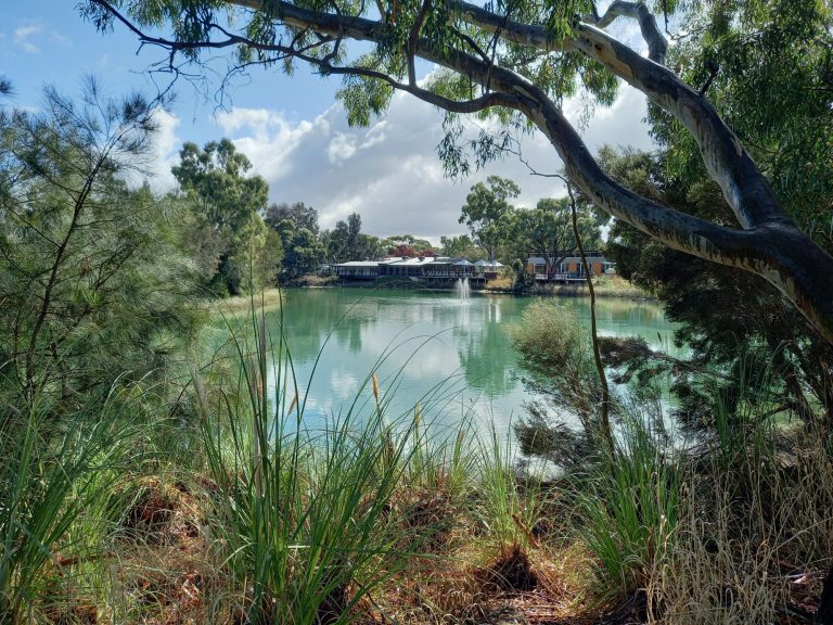 The lake at Maggie Beer's farm