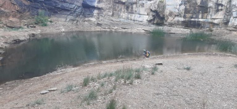 Blinman Pools track Flinders Ranges (13)