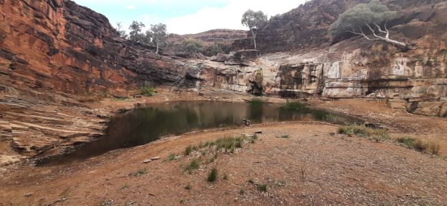 Blinman Pools track Flinders Ranges (14)