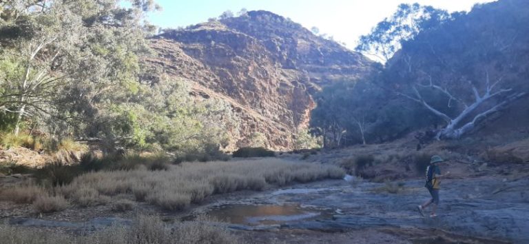 Blinman Pools track Flinders Ranges (15)