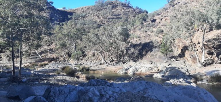 Blinman Pools track Flinders Ranges (17)