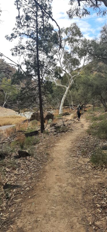 Blinman Pools track Flinders Ranges (3)