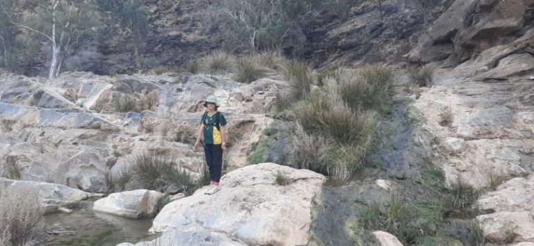 Blinman Pools track Flinders Ranges (4)