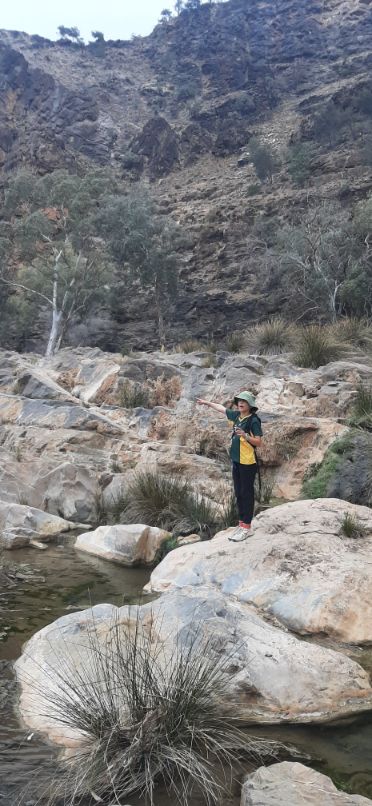 Blinman Pools track Flinders Ranges (5)