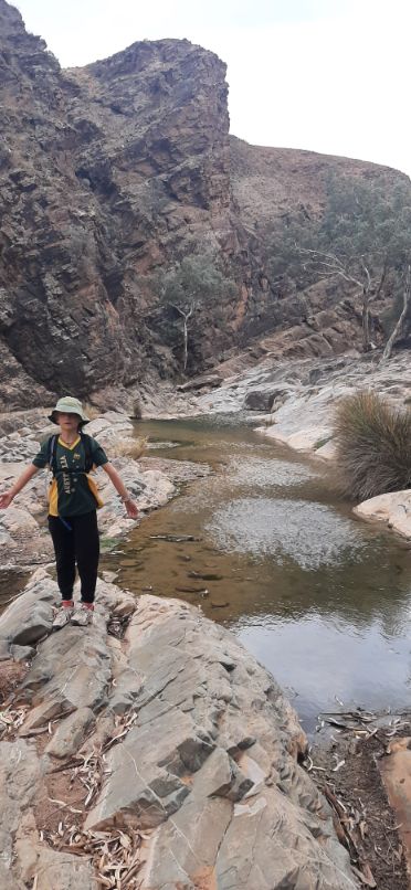 Blinman Pools track Flinders Ranges (7)