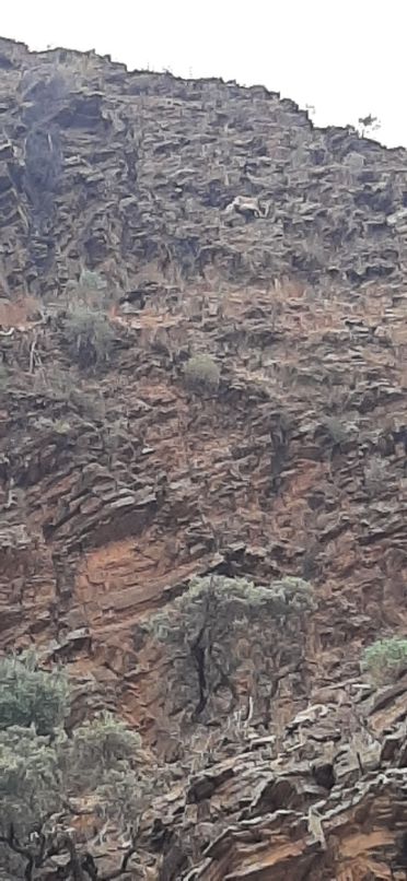 Blinman Pools track Flinders Ranges (8)