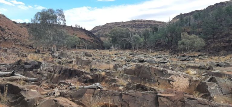 Blinman Pools track Flinders Ranges (9)