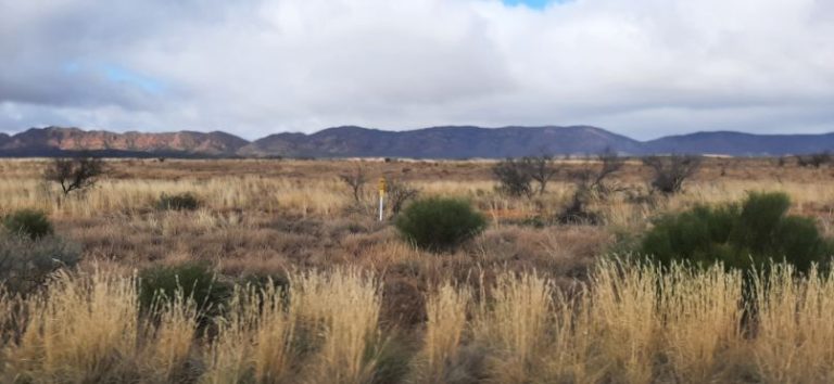 Hawker and The Flinders Ranges (3)