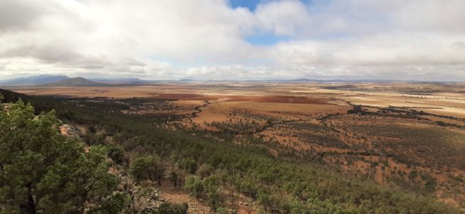 Hawker and The Flinders Ranges (5)