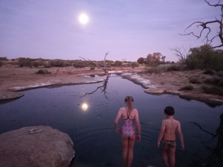 Moonlit swim