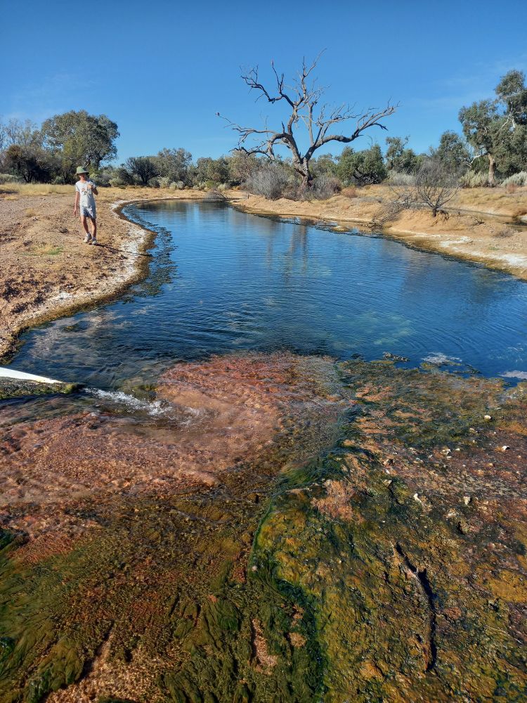 Muloorina Station bore the hot bit