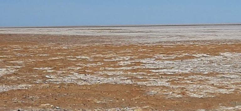 Riding out to Lake Eyre from Muloorina (14)