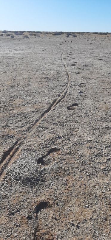 Riding out to Lake Eyre from Muloorina (15)