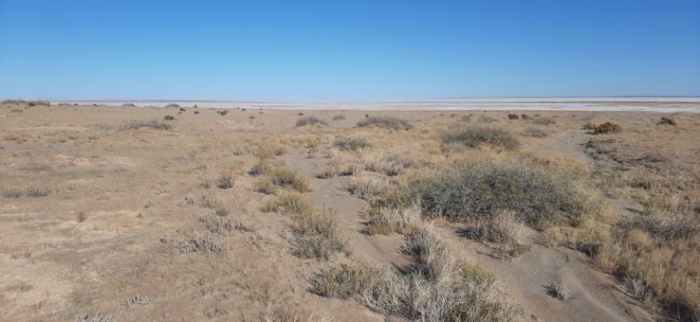 Riding out to Lake Eyre from Muloorina (19)