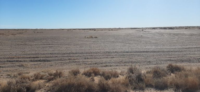 Riding out to Lake Eyre from Muloorina (24)