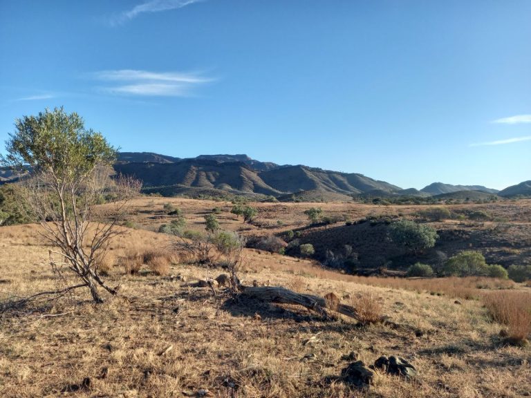 View from our camp Alpana Station