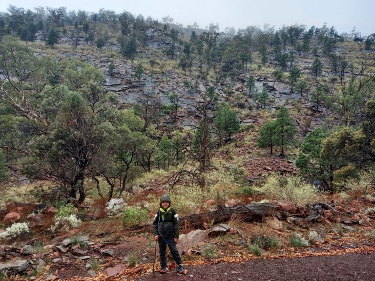 Walking the start of the Heysen Trail